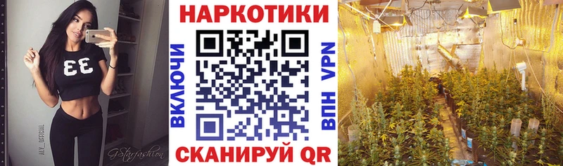 Все наркотики Черноголовка Галлюциногенные грибы  Метамфетамин  APVP  ссылка на мегу   Мефедрон 