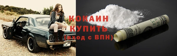 прущие грибы Сосновоборск